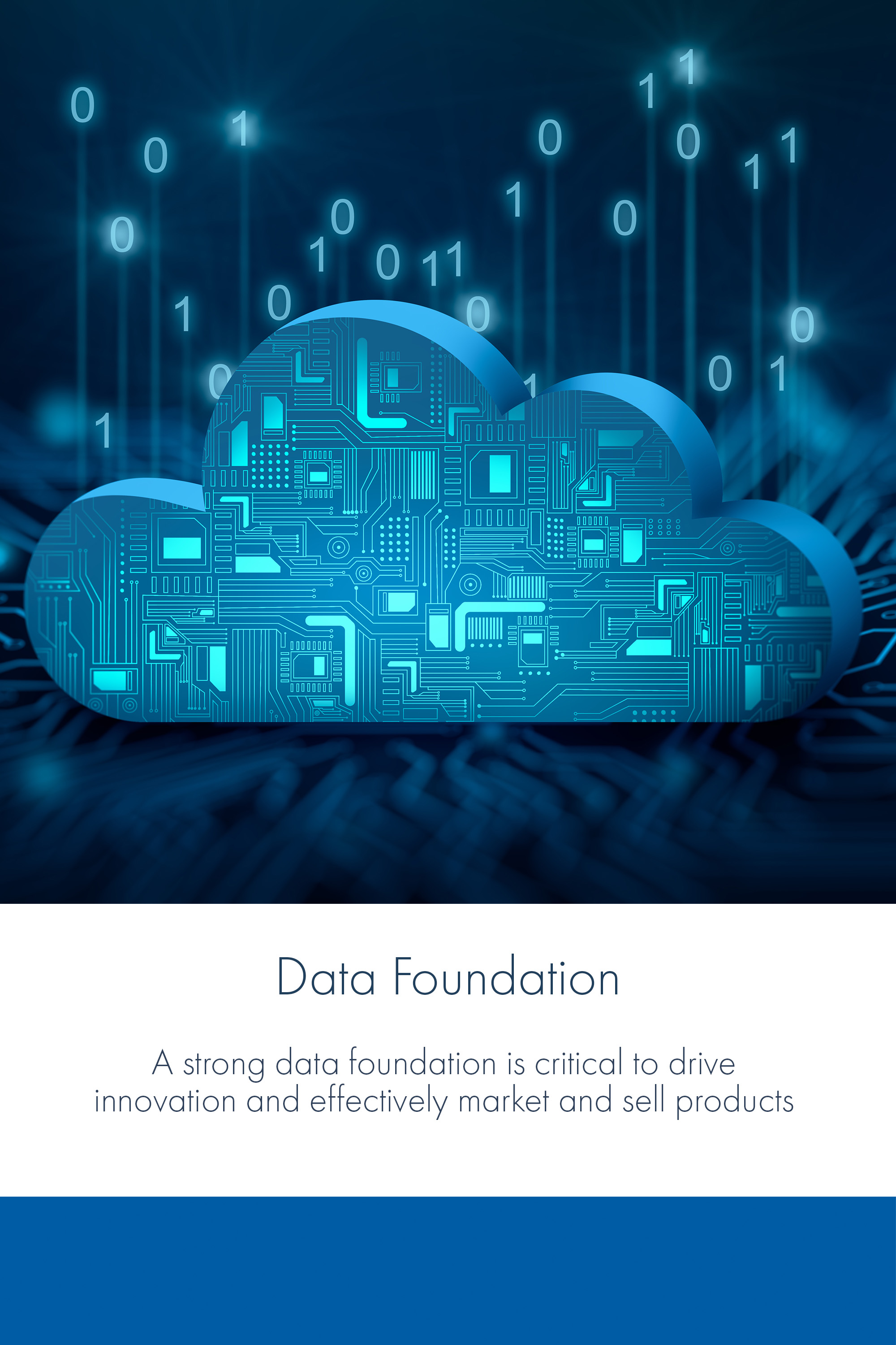 Data Foundation Mob